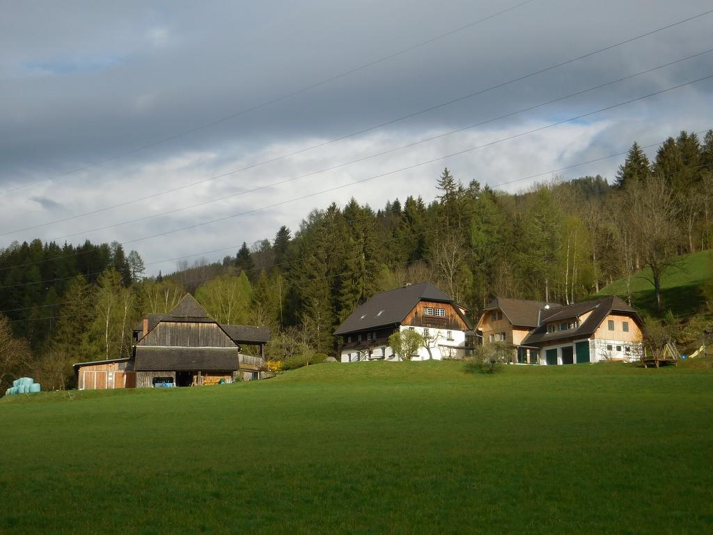 Villa Steinerhof Sankt Georgen ob Murau Exterior foto